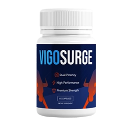 VigoSurge - Copy
